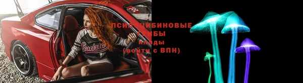 гашик Арсеньев