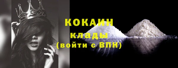 гашик Арсеньев