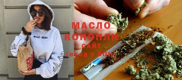 гашик Арсеньев