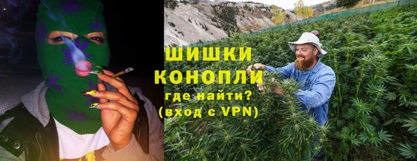 гашик Арсеньев