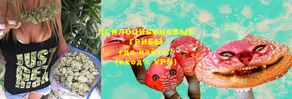 гашик Арсеньев