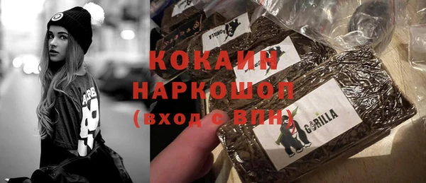 гашик Арсеньев