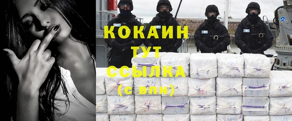 гашик Арсеньев